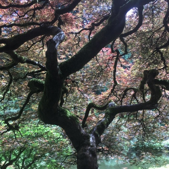 Meet your Posher, Holly - Picture 10 of 12